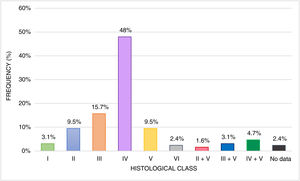 Frequency of the histopathological class.