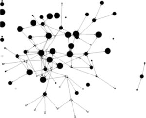 Market knowledge exchanges in the cluster.