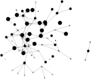 Managerial knowledge exchanges in the cluster.