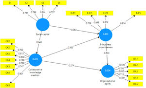 Path coefficient analysis.