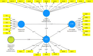 Structural equation modelling.