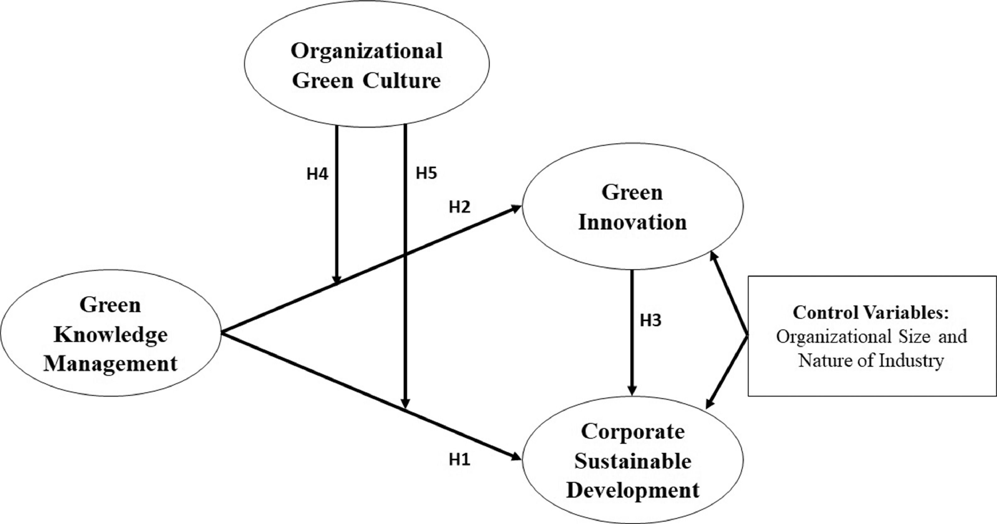 Frameworks Gree Achieving green innovation and sustainable development goals through ...