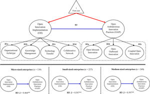 Conceptual framework and the multigroup structural model.