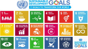 Sustainable development goals (source: www.un.org).