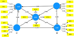 Indicators related to the constructs and path coefficients in the structural model.