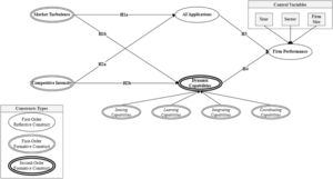Conceptual framework.
