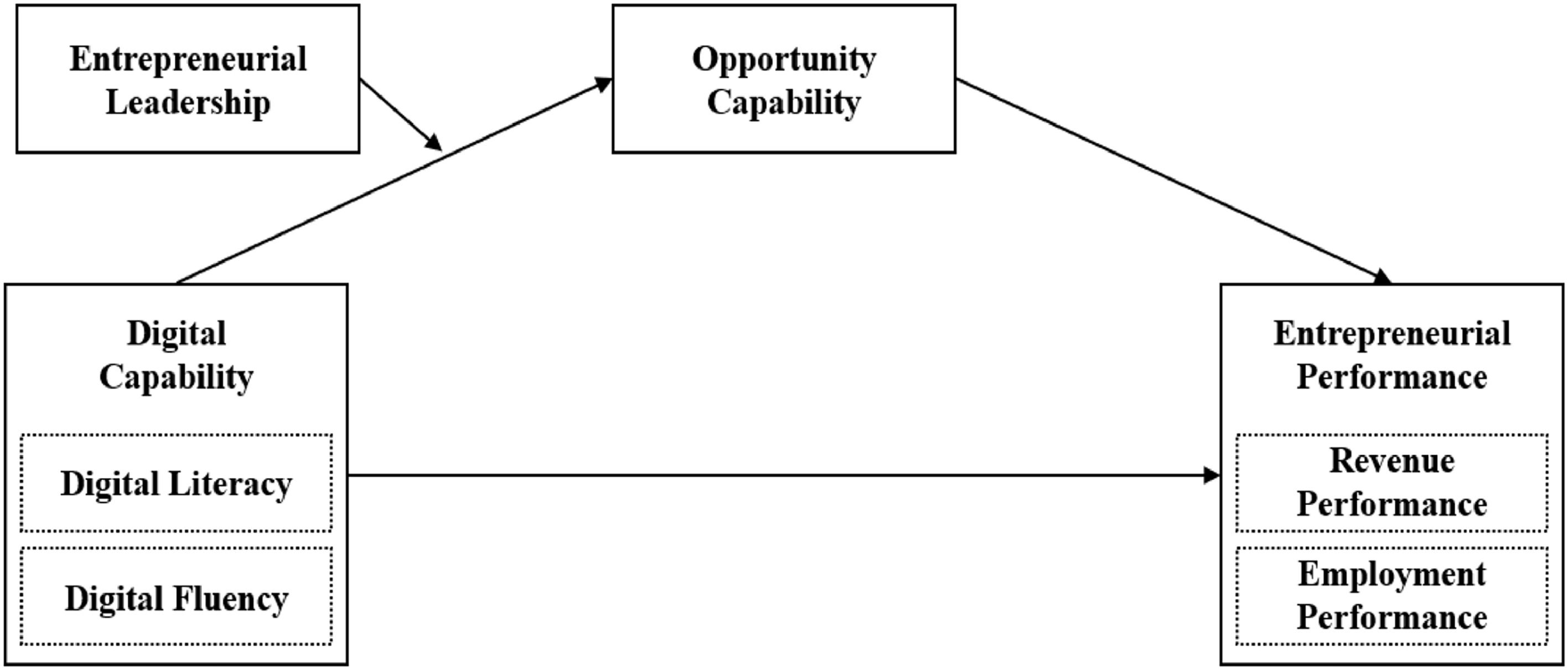 Impact of digital capabilities on entrepreneurial performance in SMEs ...
