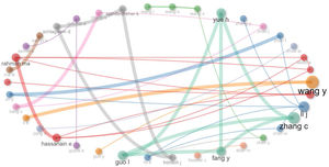 Top author collaborations for research about privacy concern in mobile sharing economy apps.