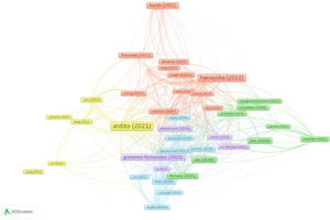 VOS mapping of innovation capability research in SMEs (2020-2024).
