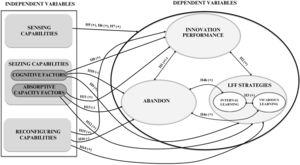 Conceptual framework.