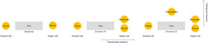 Uber multi-sided platform structure and evolution.