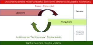 Emotional and cognitive impairments in OCD.