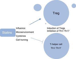 Effects of statins on T-cells.