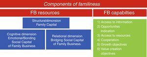 Familiness composition from the perspectives of social capital and open systems.