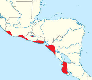 Regiones en donde se ha documentado la presencia de la nefropatía mesoamericana.