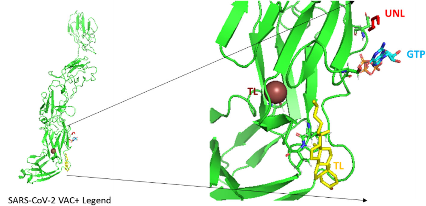 Implementation of immuno-chemoinformatics approaches to construct multi ...