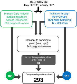 Outline of the study.