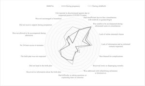 Treatment and care received during pregnancy, childbirth, and postpartum and SARS-CoV-2 positive diagnosis.