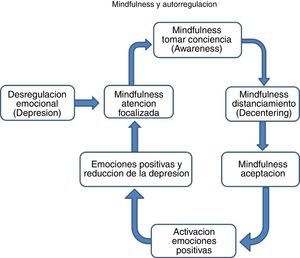 Mindfulness y autorregulación.
