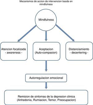 Mecanismos de acción de intervención basada en mindfulness.