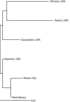 Neighbour joining tree representing the genetic distances between two Mexican mestizo populations (western Mexico and Mexico City) and racial groups of North America (U.S.A., USA in the figure).