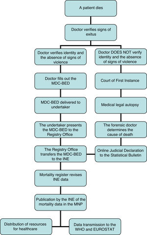General procedure for processing and reporting deaths in Spain.