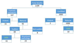 Diagram showing the distribution of mortality in infants under one year of age in Bizkaia in the period 1991–2020 (Mortality Registry data).