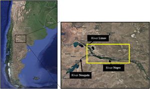 Geographical location of the study area.