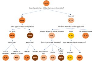 Explanatory classification tree of re-victimization (NR = Not Reported).