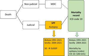 Graphic representation of the coding procedure for the causes of death in Spain and the study population with the sources of data collection.