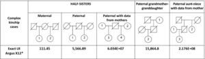Complex kinship cases analyzed with the Argus X-12 kit and the exact LR value estimated using the Mexican population database.9