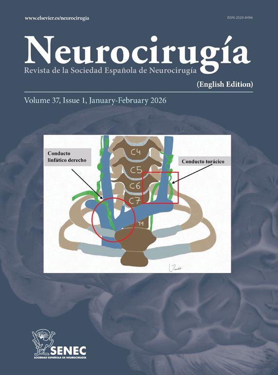 Neurocirugía (English edition)