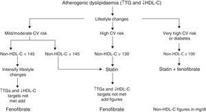 Atherogenic dyslipidaemia treatment algorithm. Non-HDL-C: non-HDL cholesterol (total cholesterol minus HDL cholesterol); HDL-C: high-density lipoprotein cholesterol; CV: cardiovascular; TG: triglycerides.