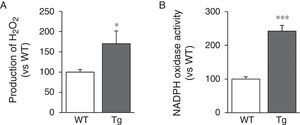 LOX is a source of vascular oxidative stress. Level of H2O2 (A) and NADPH oxidase activity (B) measured in the aorta of control mice (WT) and mice transgenic for LOX (Tg). The results are expressed as mean±SEM (n=4–10; *: p<0.05 vs WT).