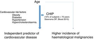 Relationship between CHIP, age and cardiovascular risk.