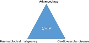 CHIP: the link between cancer and CVD and a new therapeutic target in atherosclerosis?