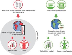 The uncontrolled production of unsustainable foods is generating a dual burden of obesity and malnutrition, worsened by climate change which generates greater vulnerability. This “global syndemic” is currently the greatest threat to human health. In the face of this, a planetary health diet based on sustainable food systems will promote protection from climate change and greater food quality with the consequent control of malnutrition and a lower rate of obesity.