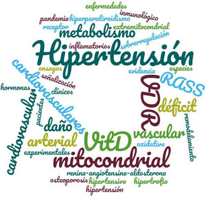 The word cloud as a summary of the topic highlights, according to the size and distribution of the words, the relevant implications that are established between hypertensive cardiovascular disease and vitamin D levels in the context of basic studies and their opposite number, clinical studies.