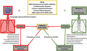 The figure gives a simple summary of the main pathways involved in the clinical progression at lung level of positive COVID-19 patients, its correlation with ACE/ACE2 receptors, and how their decoupling would determine a poor outcome at lung level. Furthermore, both RAAS blockage and vitamin D implementation are outlined, highlighting the potential impact of vitamin D on the restoration of signalling pathways and possible improved pulmonary clinical outcomes for COVID-19 positive patients.