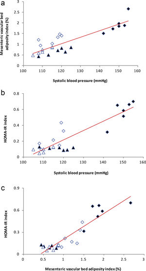 (a) Linear regression of systolic blood pressure against mesenteric vascular bed adiposity index: Control (), high-fat diet (), losartan-control (), losartan-high-fat diet (). r=0.87, R2=0.80, P<0.01. (b) Linear regression of systolic blood pressure against HOMA-IR index: Control (), high-fat diet (), losartan-control (), losartan-high-fat diet (). r=0.90, R2=0.80, P<0.01. (c) Linear regression of mesenteric vascular bed adiposity index against HOMA-IR index: Control (), high-fat diet (), losartan-control (), losartan-high-fat diet (). r=0.93, R2=0.86, P<0.01.