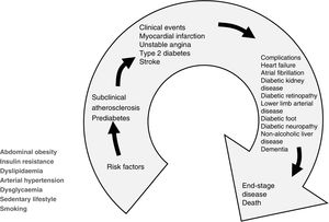 The cardiometabolic continuum. In addition to cardiovascular risk factors, several metabolic conditions of particular impact on the cardiovascular system and ACVD events, such as insulin resistance, central obesity, dysglycaemia and sedentary lifestyle, which may go unnoticed, must be considered at the beginning of the continuum.