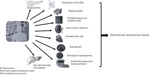 Consequence of obesity-induced insulin resistance. There are numerous deleterious actions of insulin resistance on different target organs that can result in progression and clinical events due to ACVD.