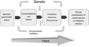 Prediabetes and subclinical atherosclerosis, crucial moments for cardiometabolic prevention. These two pre-symptomatic conditions are windows of opportunity to implement appropriate preventive strategies for better future cardiometabolic health.