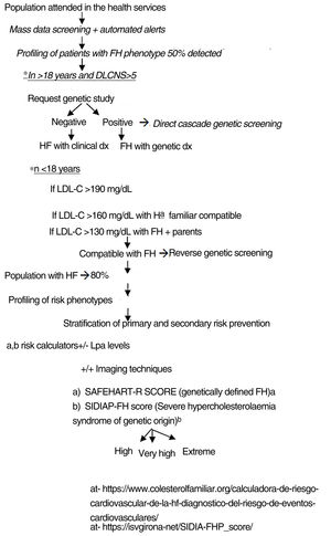 Proposal for implementation in clinical practice. FH: Familiar hypercholesterolaemia. DLCNS: The Dutch Lipid Clinic Network diagnostic criteria (Dutch Lipid Clinic Network Score).