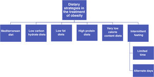 Dietary therapy strategies in obesity.