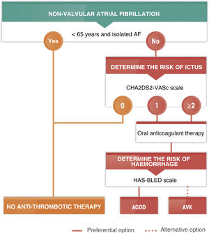 Algorithm for antithrombotic treatment in atrial fibrillation. DOAC: direct action oral anticoagulants; AVK: anti vitamin K; AF: atrial fibrillation.