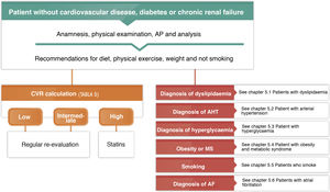 Recommendations for the clinical management of cardiovascular risk in patients without cardiovascular disease, diabetes mellitus or chronic renal failure. AF: atrial fibrillation; AHT: arterial hypertension; AP: arterial pressure; CVR: cardiovascular risk; MS: metabolic syndrome.