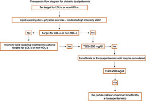 Therapeutic flow diagram for the management of dyslipidaemia and cardiovascular prevention in diabetes. HDL-c: high density lipoprotein cholesterol; LDL-c: low density lipoprotein cholesterol; TGS: triglycerides.
