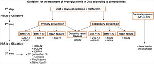 Therapeutic guidelines and scaling in the pharmacological treatment of diabetes attending to the chief comorbidities. arGLP1: glucagon 1-like peptide receptor agonists; BMI: body mass index; DM2: type 2 diabetes mellitus; HbA1c: glycosylated haemoglobin; iSGLT2: inhibitors of the sodium and glucose cotransporter type 2; IDPP-4: inhibitors of dipeptidyl peptidase 4.