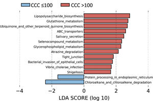LEfSe analysis showing the predicted KEGG metabolic routes of the metagenomic data in level 2 in patients with a CCQ > 100 in comparison with patients with a CCQ ≤100. The length of the horizontal bars represents the LDA score. P < .05; LDA score ≥ 2.0.